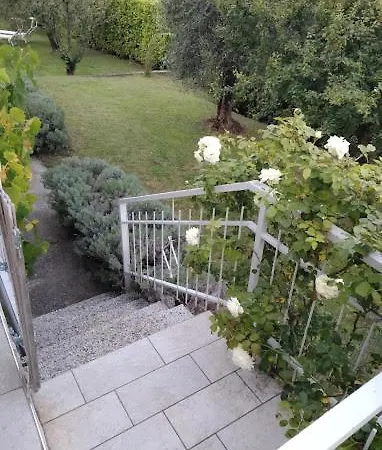 The Magic House With Garden *